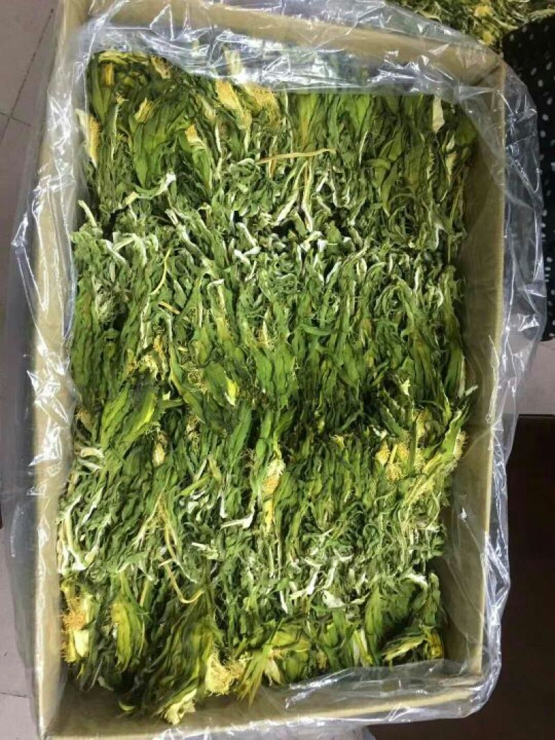 霸王花（剑花）龙骨花