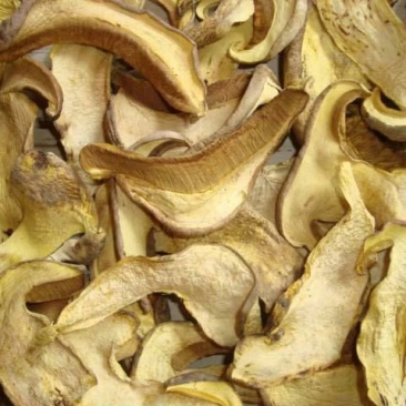 美味牛肝菌