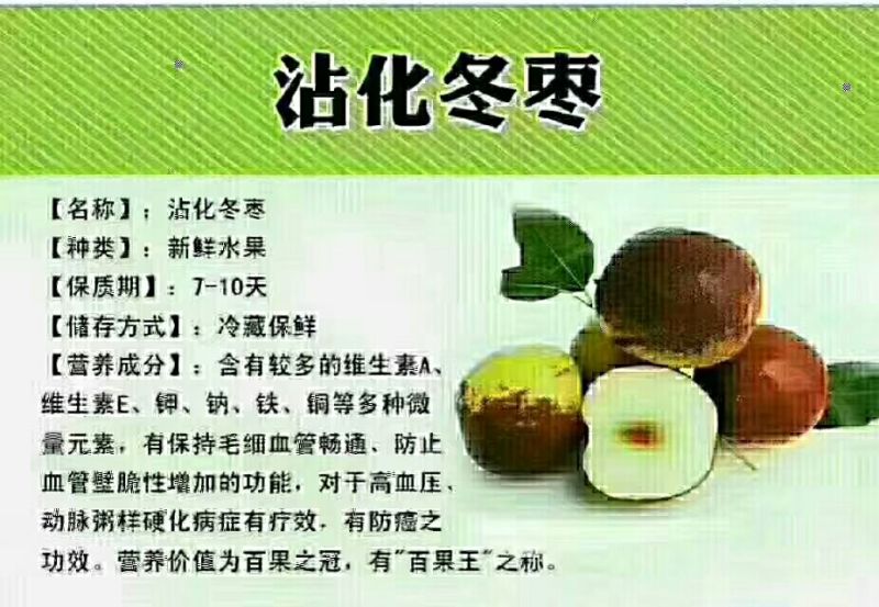 沾化冬枣