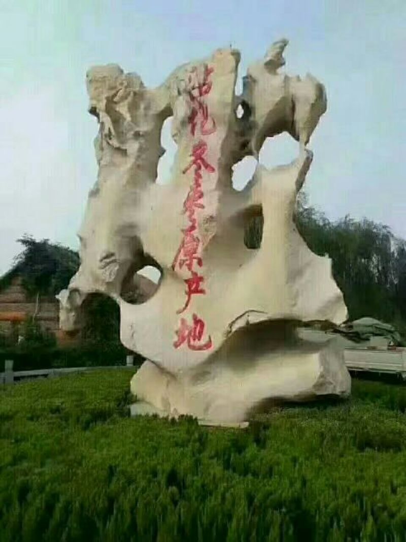 沾化冬枣