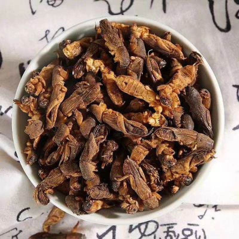 蝼蛄中药材蝼蛄拉拉蛄500克包邮蝼蛄干