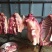 驴肉鲜货带皮驴肉鲜驴肉驴肉厂家直接发货手续齐全