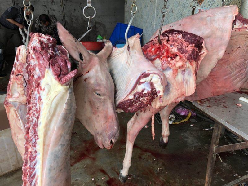 驴肉鲜货带皮驴肉鲜驴肉驴肉厂家直接发货手续齐全