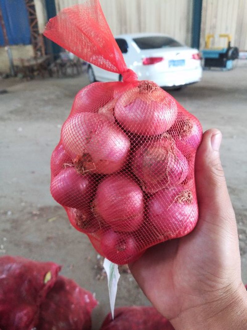 洋葱各品种规格各产地常年供应，天天批发价