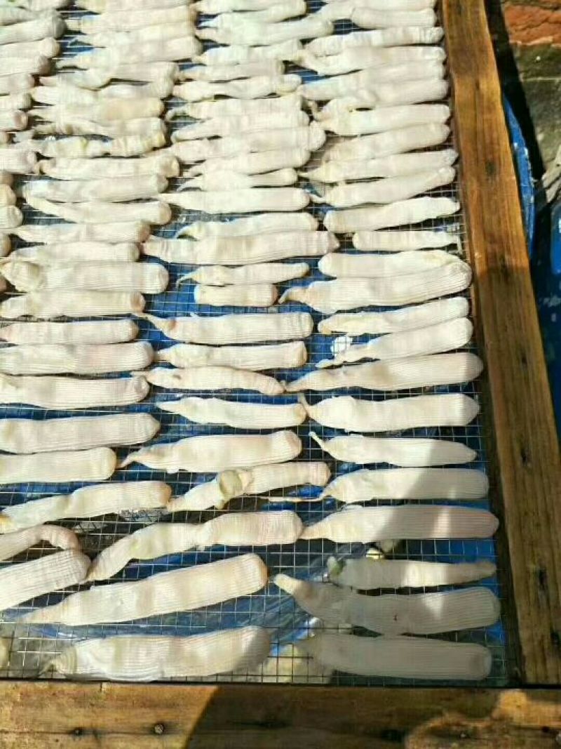 沙虫干