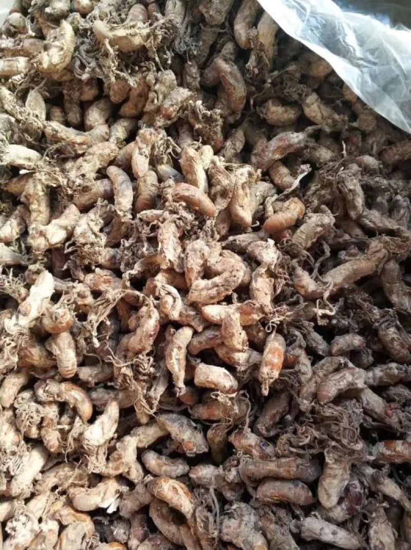 大货供应黑桑椹子，金蝉花