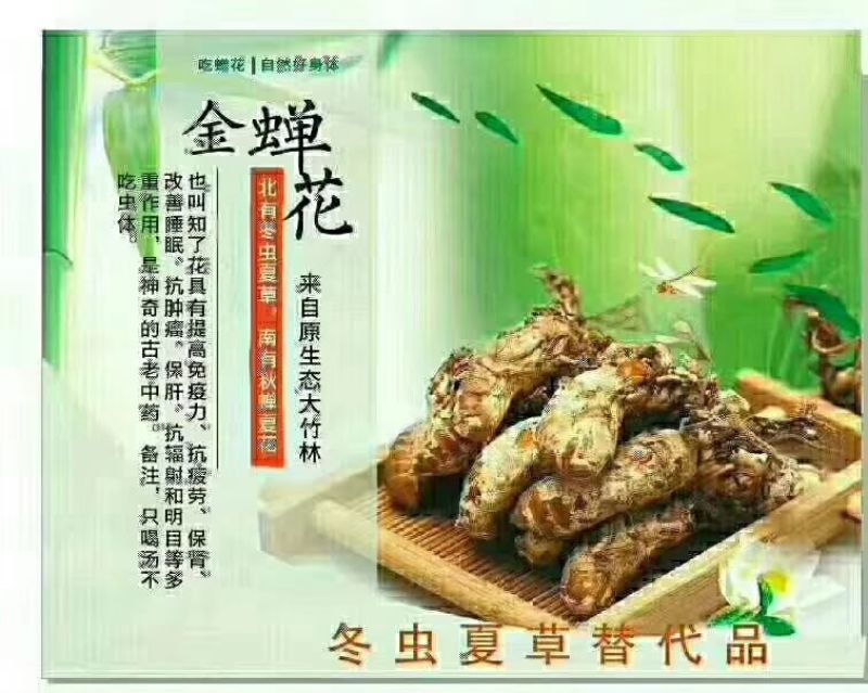 大货供应黑桑椹子，金蝉花