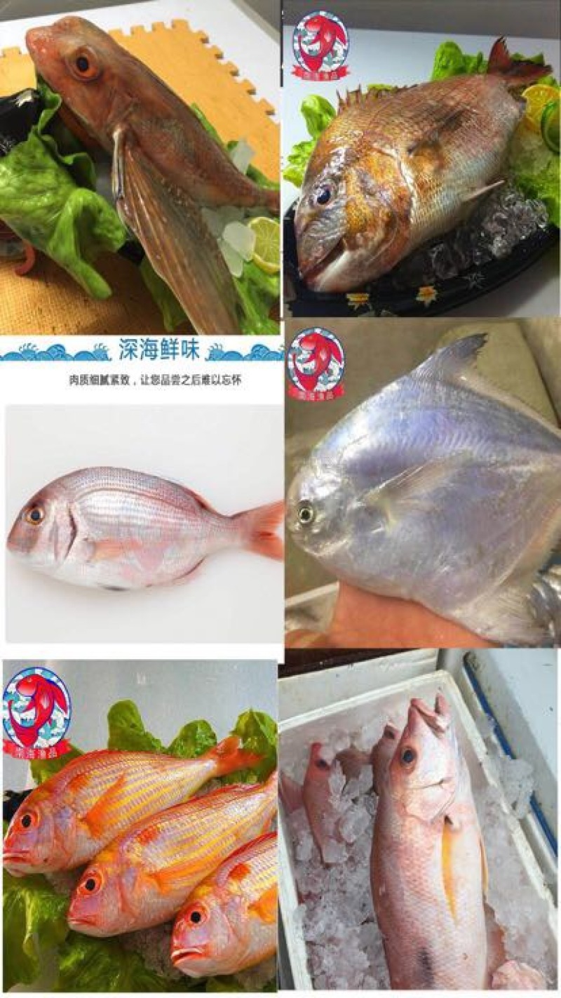 燕尾斑