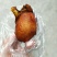 鸡宝
