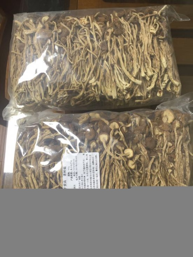 茶树菇3号茶树菇