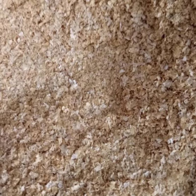 麦麸