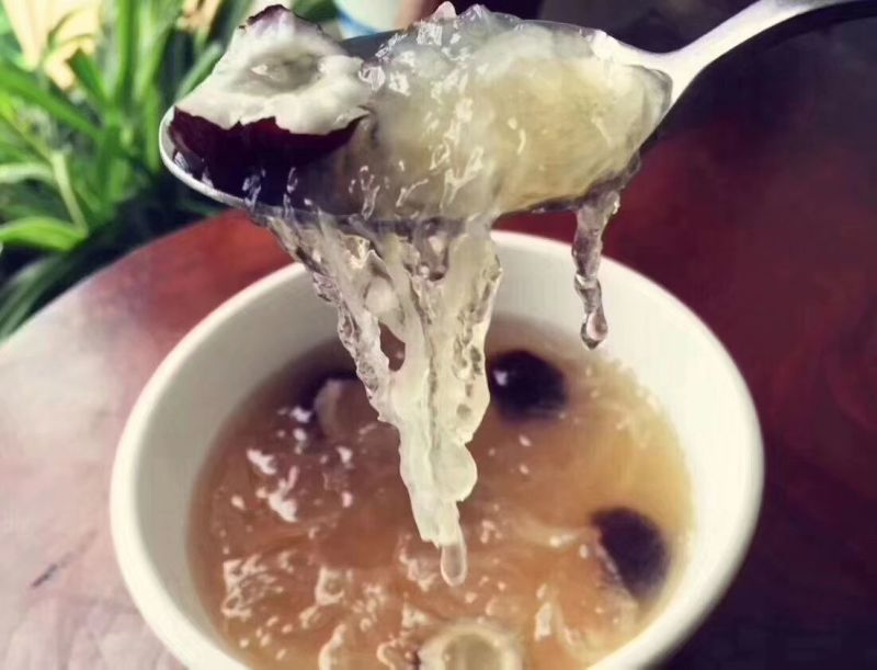 非洲海椰皇