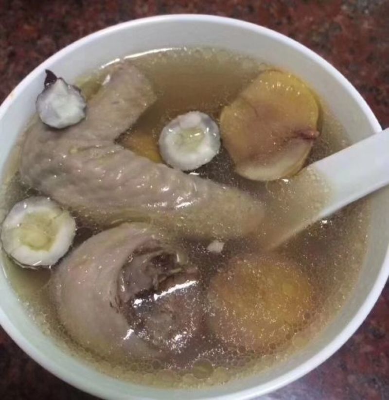 非洲海椰皇