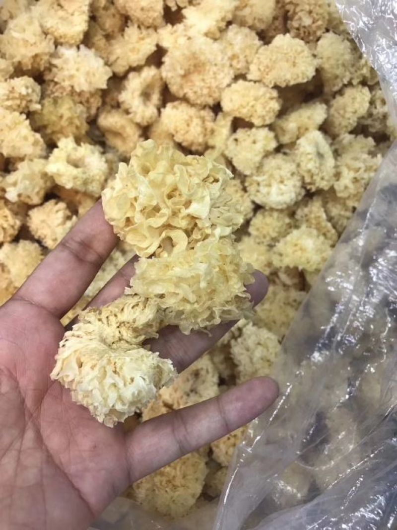 段木小银耳