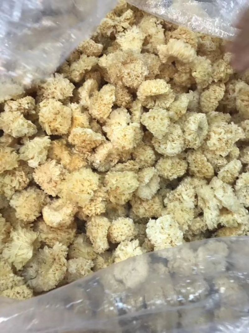 段木小银耳