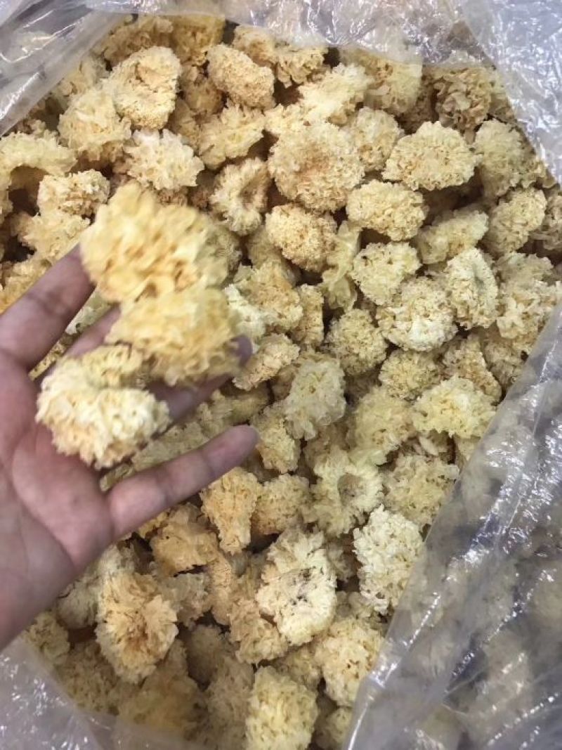 段木小银耳