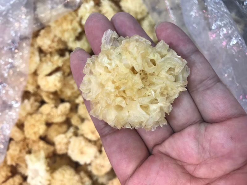 段木小银耳