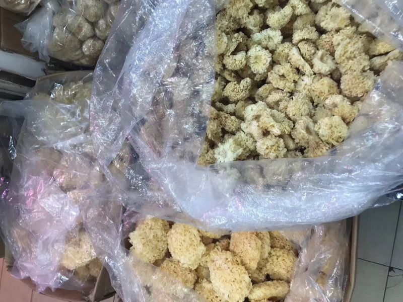 段木小银耳