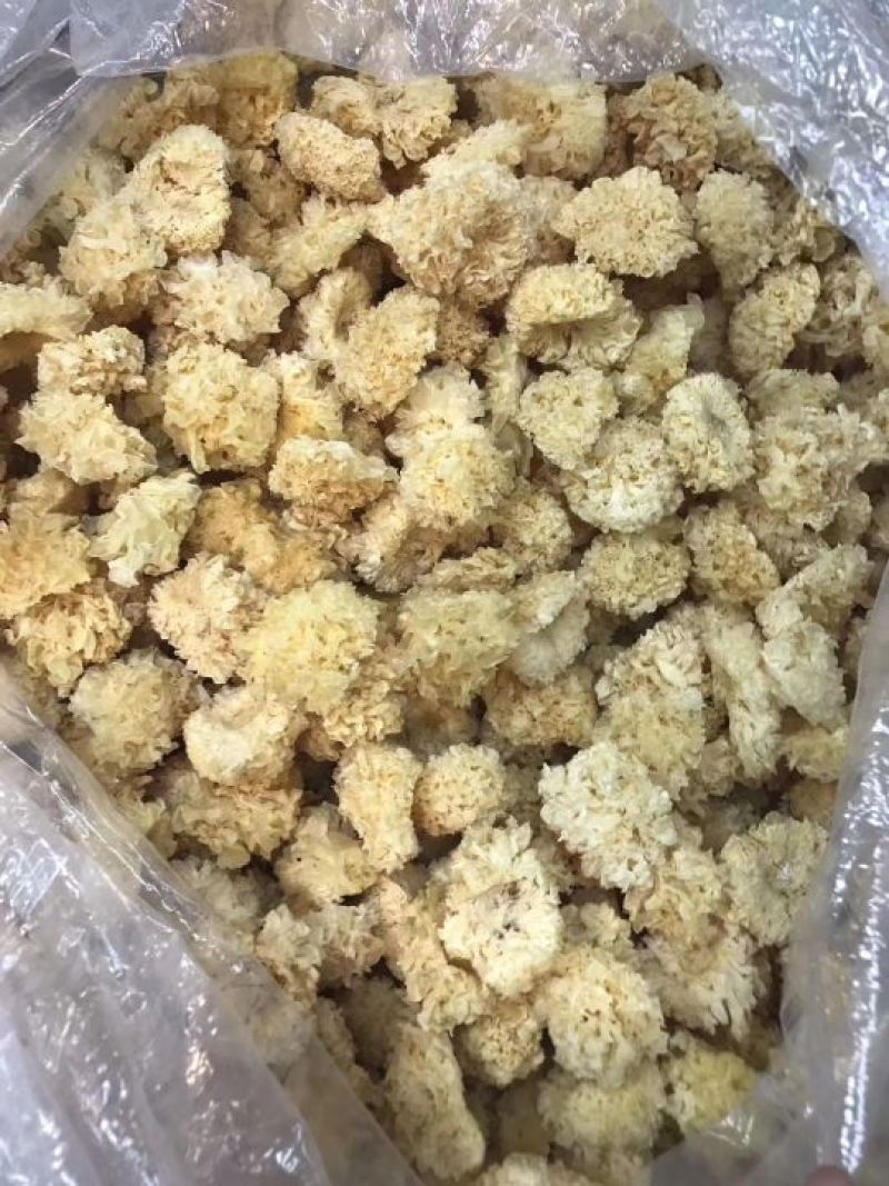 段木小银耳