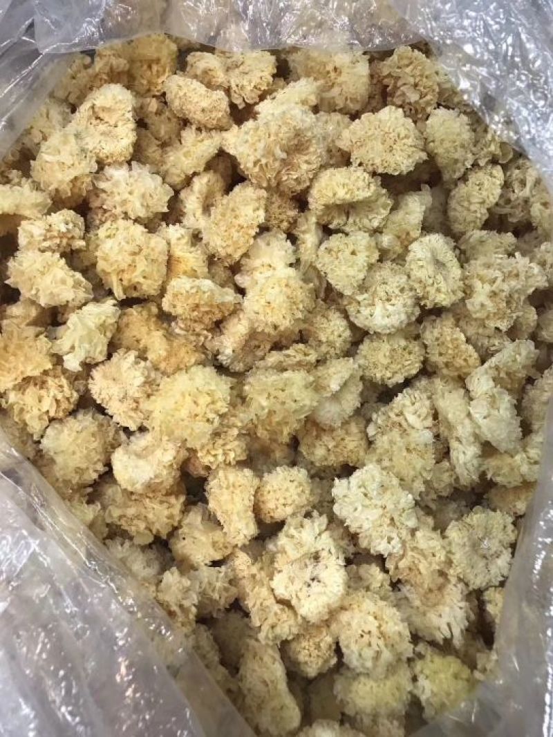 段木小银耳