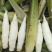 双季茭白带壳