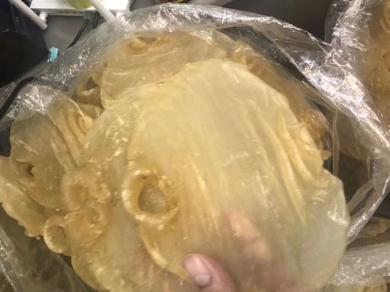 10头赤嘴鳘鱼胶花胶