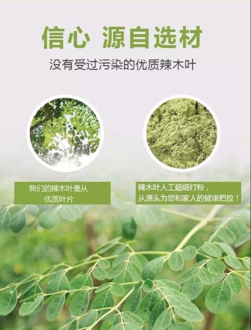 山礼然批发云南辣木叶粉辣木粉250克包邮