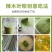 山礼然批发云南辣木叶粉辣木粉250克包邮