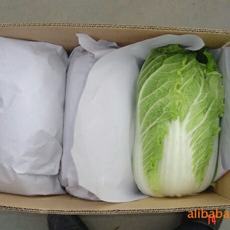 白菜