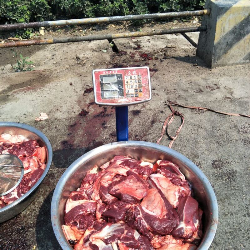 生熟驴肉批发，我是宰杀户