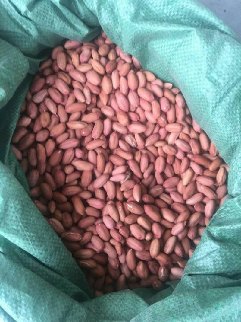 花育16花生米芽菜专用细选米