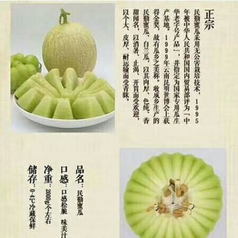 金红宝甜瓜2斤以上