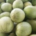 城固绿宝石甜瓜：皮溥脆甜清香可囗，产地直销日供5万斤现货