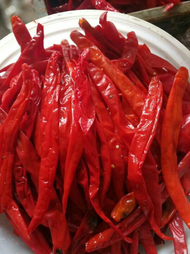 天宇，美人椒，津红，珠子椒等