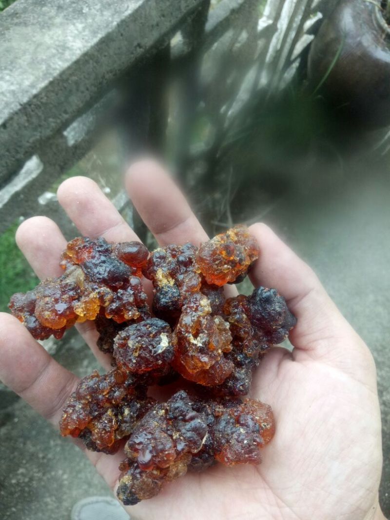 桃胶