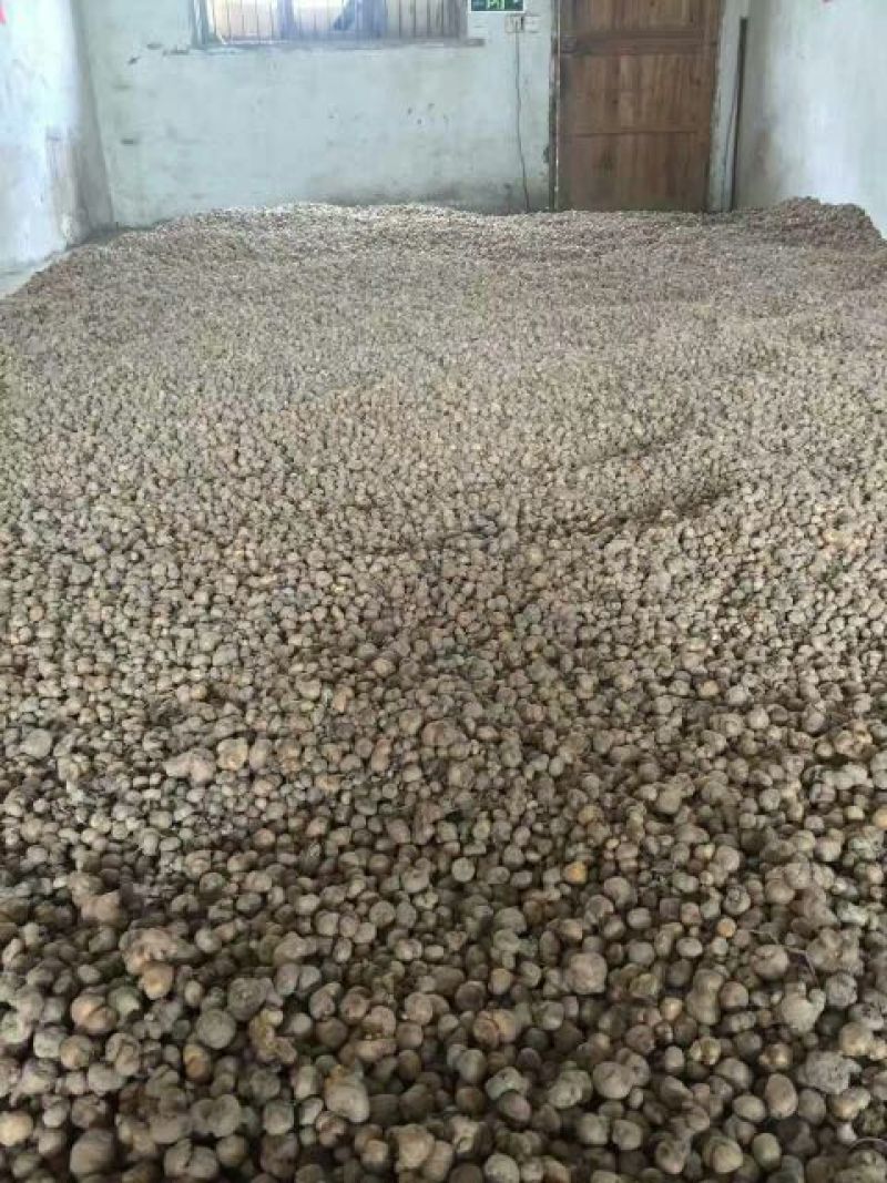 桃胶