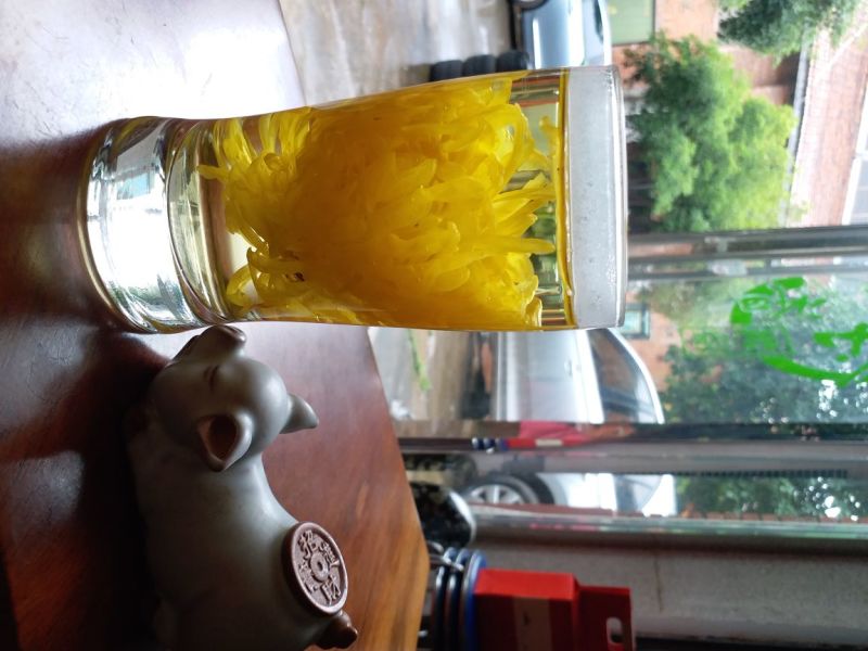 特级金丝皇菊