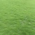 草皮