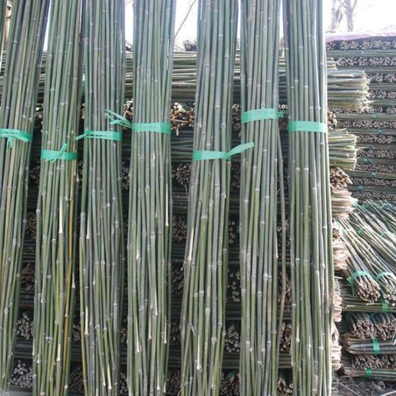 2.4米菜架竹45根/捆（包上车）