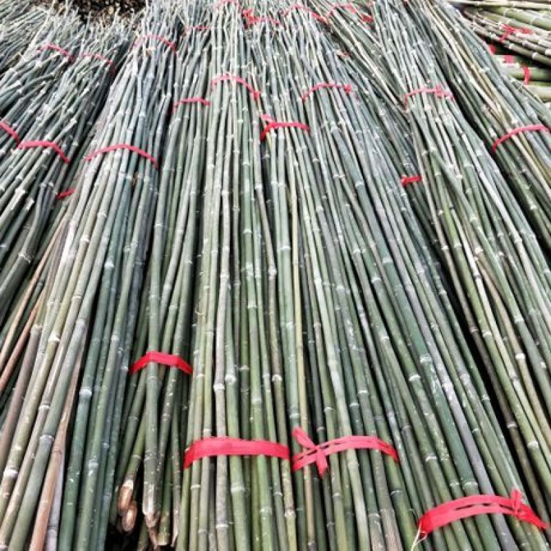 2.4米菜架竹45根/捆（包上车）