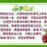 红灯樱桃