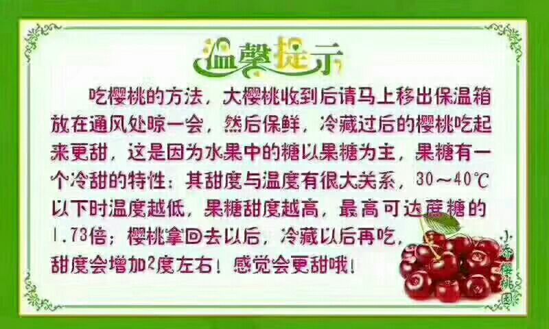 红灯樱桃