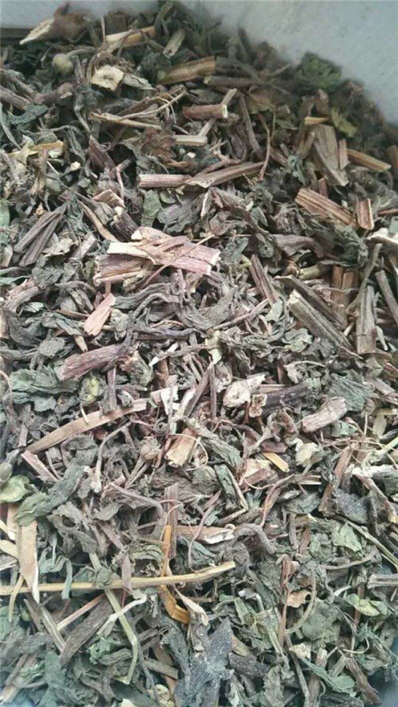 旱莲草