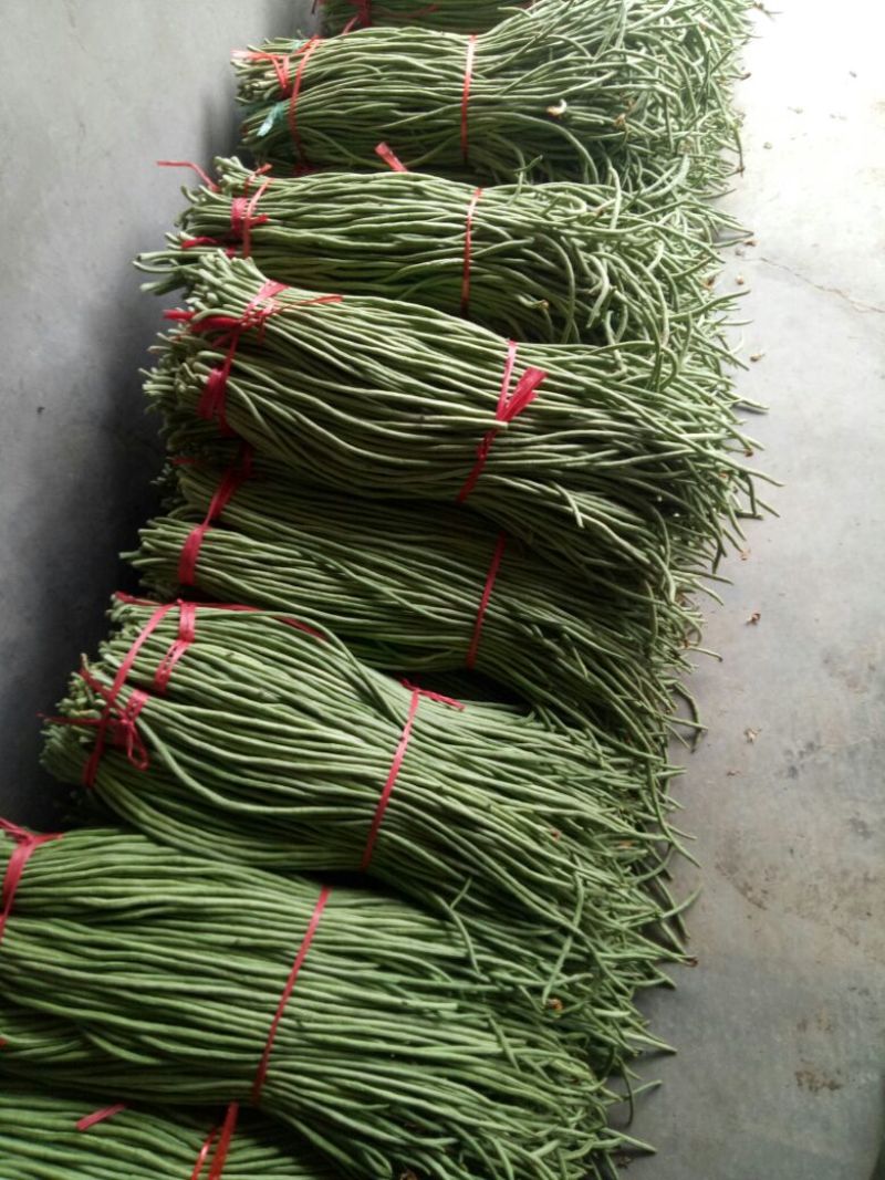 豆角70厘米以上，大量上市中