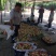 早露蟠桃2~3两
