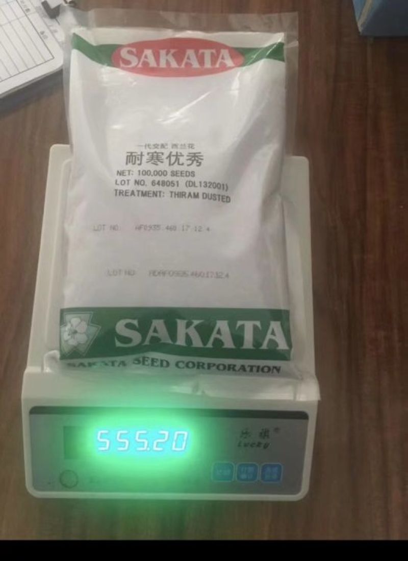 西兰花种子