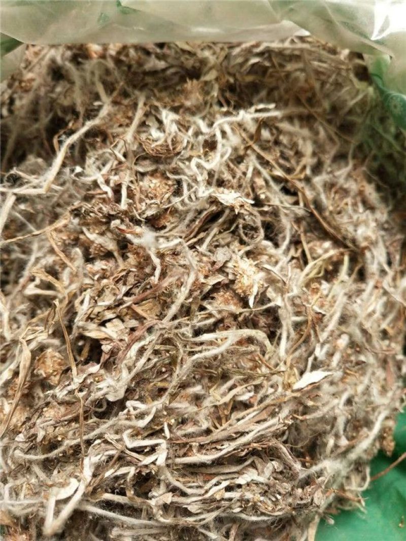 委陵菜天青地白