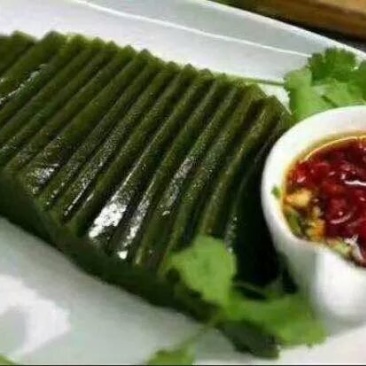神仙豆腐树叶斑鸠叶豆腐柴
