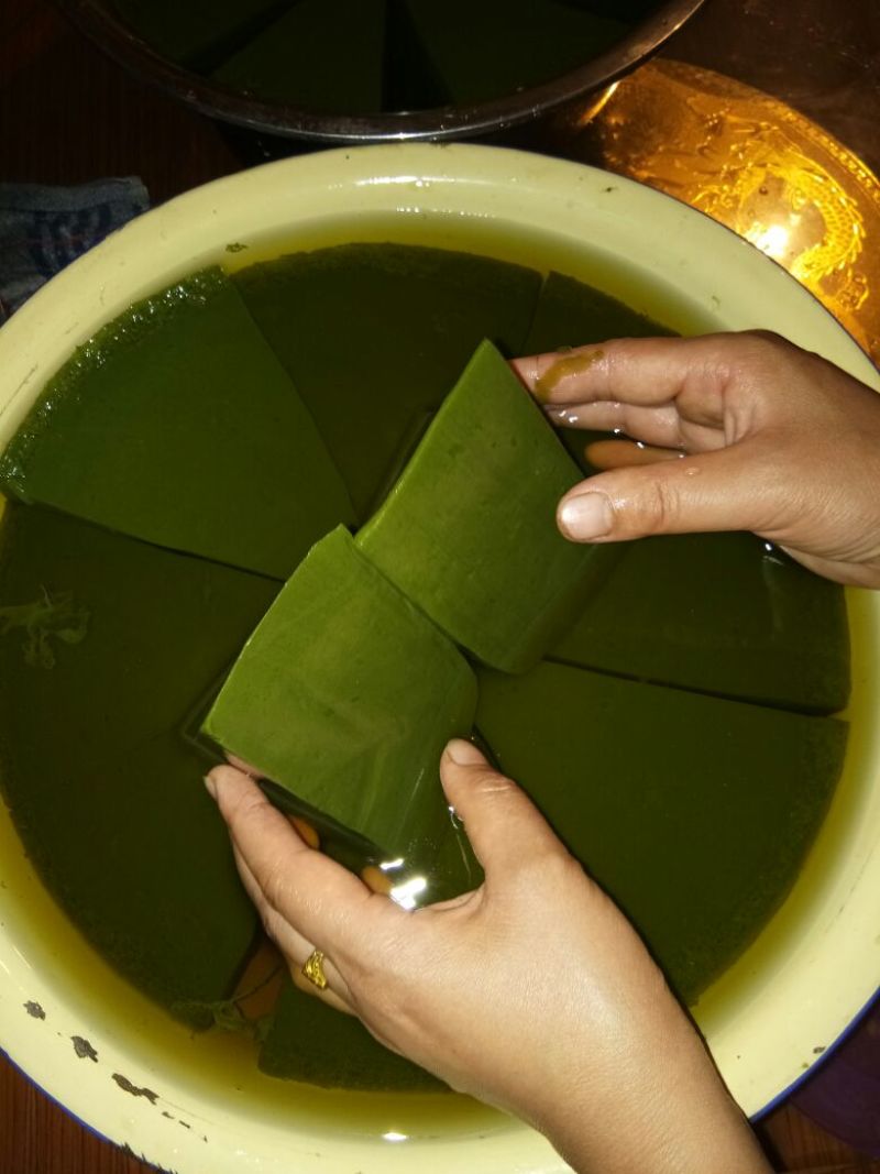 神仙豆腐树叶斑鸠叶豆腐柴