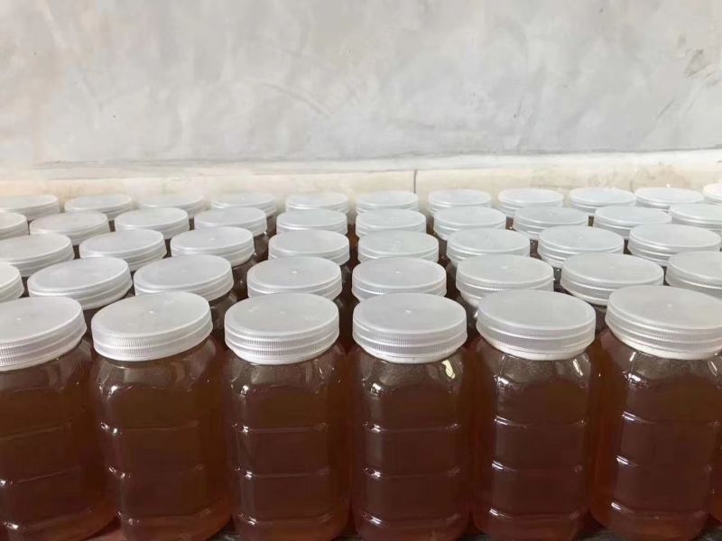 龙眼蜜土蜂蜜自养